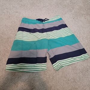 Patagonia Striped Men's Board Shorts Size 33